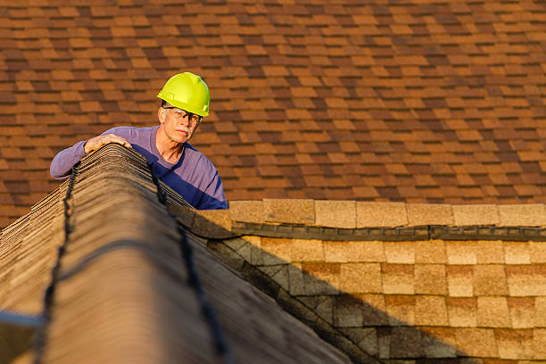 Roof Gutter Cleaning in Brighton, AL